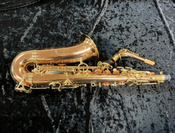 Photo LIKE NEW! Yanagisawa AWO2 Bronze Series Professional Alto Sax - Serial # 00412673